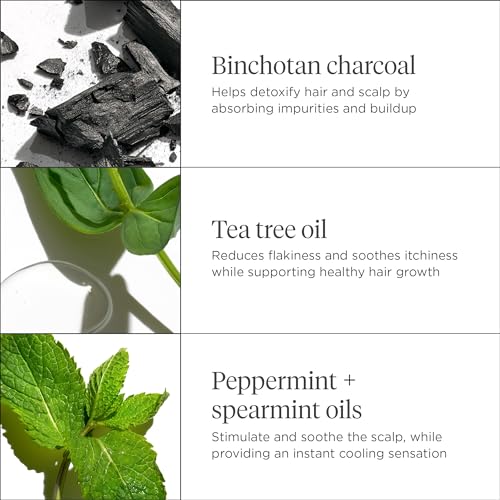 Briogeo Scalp Revival Charcoal + Tea Tree Scalp Treatment, Scalp Serum to Soothe a Dry, Flaky, Itchy Scalp, Vegan, Phalate & Paraben-Free, 1 oz
