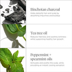 Briogeo Scalp Revival Charcoal + Tea Tree Scalp Treatment, Scalp Serum to Soothe a Dry, Flaky, Itchy Scalp, Vegan, Phalate & Paraben-Free, 1 oz