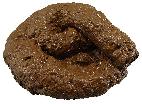 Nicky Bigs Novelties Deluxe Fake Dog Poop Crap Pile - Realistic Fake Poop - Adult Gags April Fools Day Prank Jokes Novelty Gifts, Brown