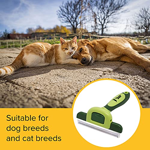 Thunderpaws Best Professional De-Shedding Tool and Pet Grooming Brush, D-Shedz for Breeds of Dogs, Cats with Short or Long Hair, Small, Medium and Large (Green)