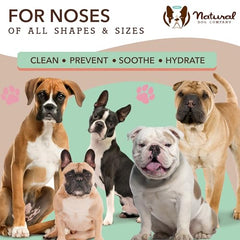 Natural Dog Snout Wipes (50 Ct) Snout Dog Wipes for Cleaning and Soothing, Non-Toxic Dog Care Products, Jojoba Oil& Shea Butter, Snout Soother Wipes, Nourishing and Moisturizing Wipes for Dogs