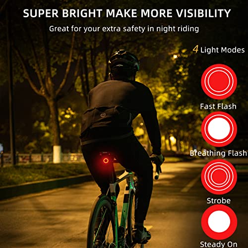 ROCKBROS Bike Tail Light Smart,Brake Sensing Bicycle Rear Lights for Night Ride,Ultra Bright LED Back Lights,Type C USB Rechargeable,IPX6 Waterproof,Cycling Safety Taillight Accessories