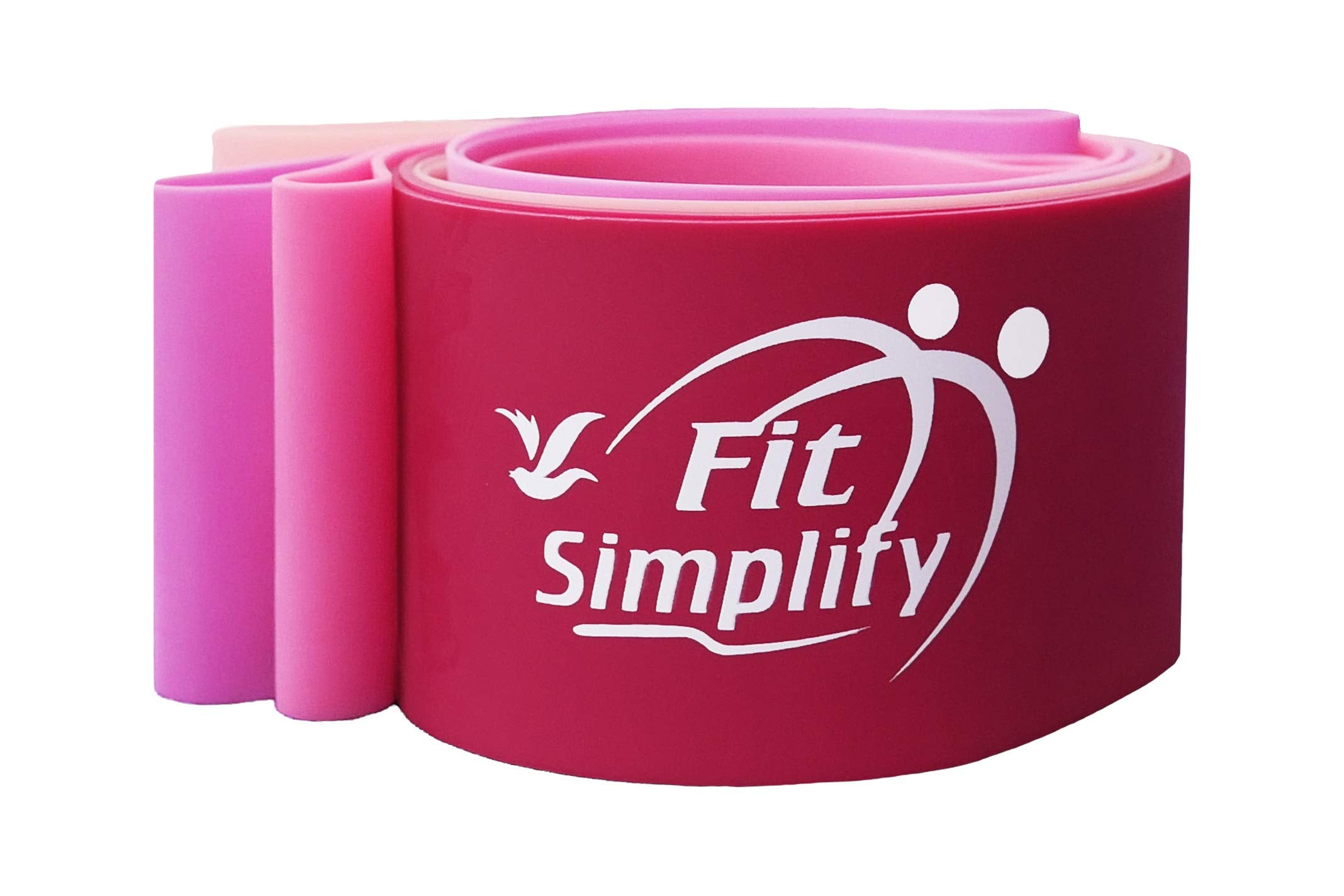 Fit Simplify Resistance Loop Exercise Bands with Instruction Guide and Carry Bag, Set of 5