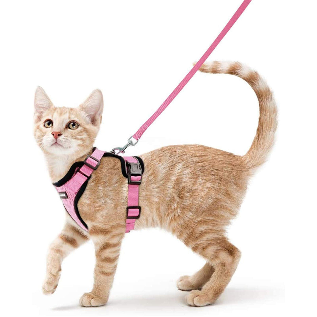 rabbitgoo Cat Harness and Leash for Walking, Escape Proof Soft Adjustable Vest Harnesses for Cats, Easy Control Breathable Reflective Strips Jacket, Pink, S