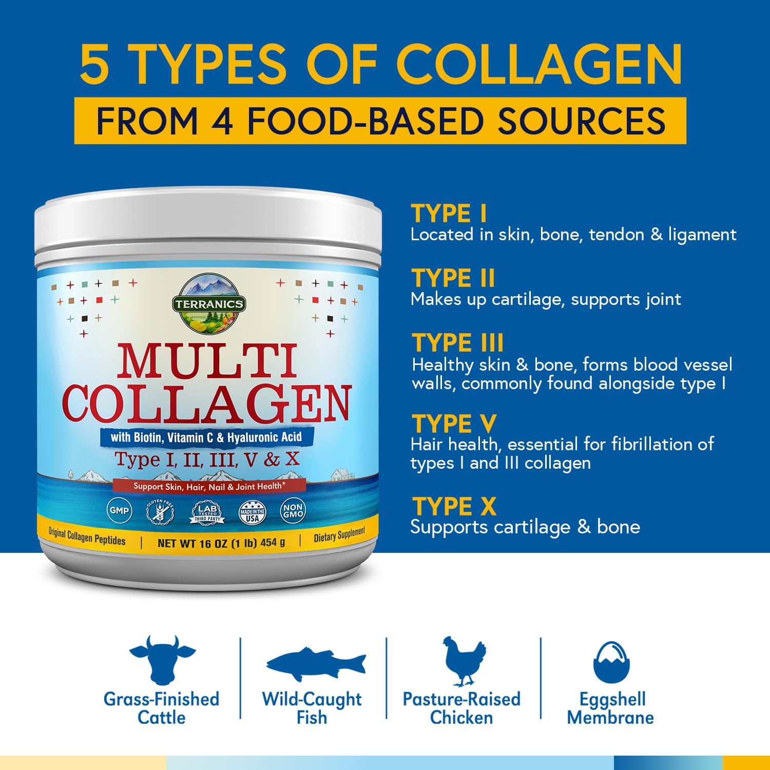 Terranics Multi Collagen Powder Type I II II V X with Biotin VC Hyaluronic Acid, Paleo & Keto Friendly, Skin Hair Nail & Joint Support, Bovine Marine Chicken & Eggshell, Unflavored