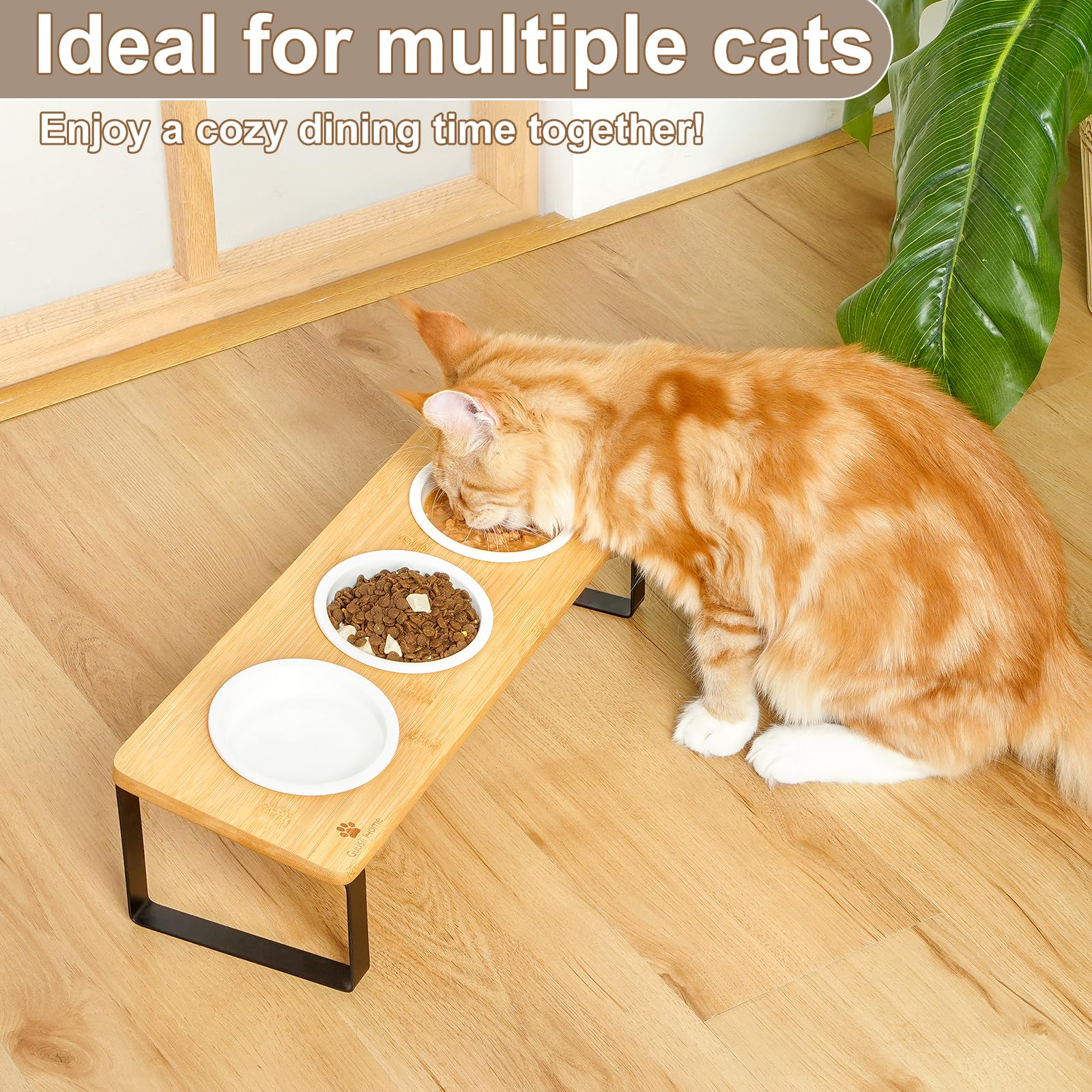 Sunhoo Raised Cat Food Water Bowl Elevated Tilted Kitty Dishes Set of 3 Ceramic Dish for Indoor Cats Orthopedic Pet Food Stand Anti Vomiting 3 Bowl Cat Feeder Easy Assembly