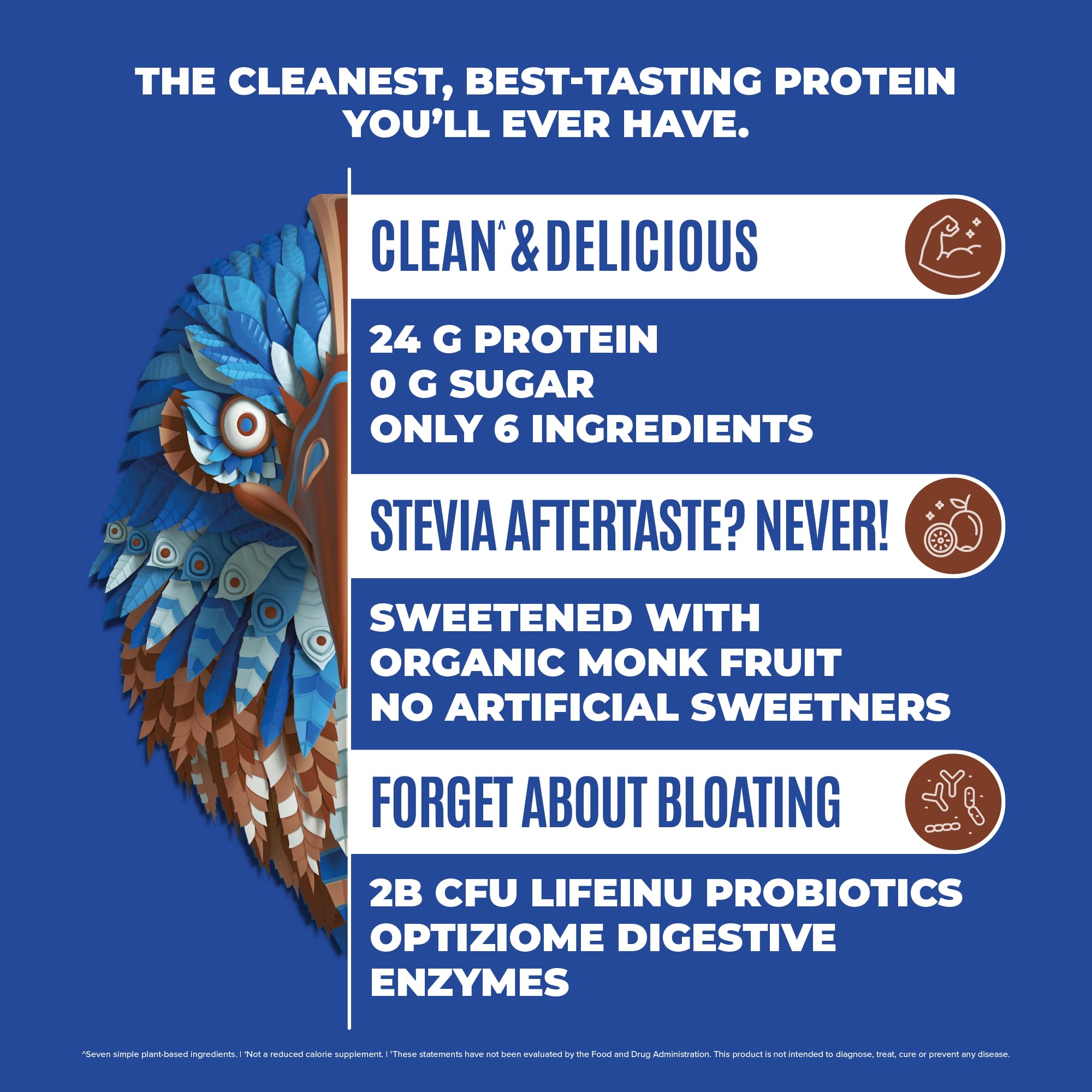 BIRDMAN Falcon Vegan Protein Powder Organic, Stevia & Sugar Free, Plant Based Protein, Low Carb, Dairy Free, Keto, Non Whey Protein, Probiotic, Pea Protein | Chocolate Flavor - 60 Servings - 3.9lb