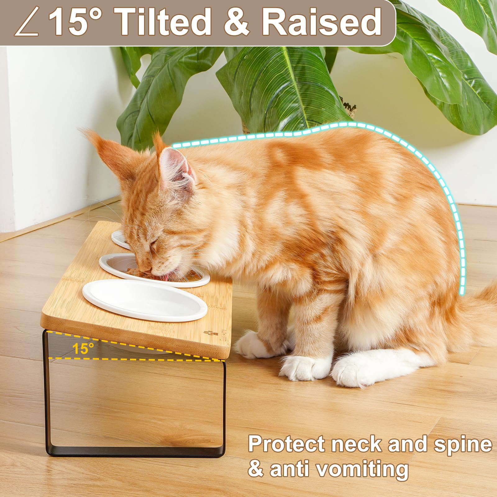 Sunhoo Raised Cat Food Water Bowl Elevated Tilted Kitty Dishes Set of 3 Ceramic Dish for Indoor Cats Orthopedic Pet Food Stand Anti Vomiting 3 Bowl Cat Feeder Easy Assembly